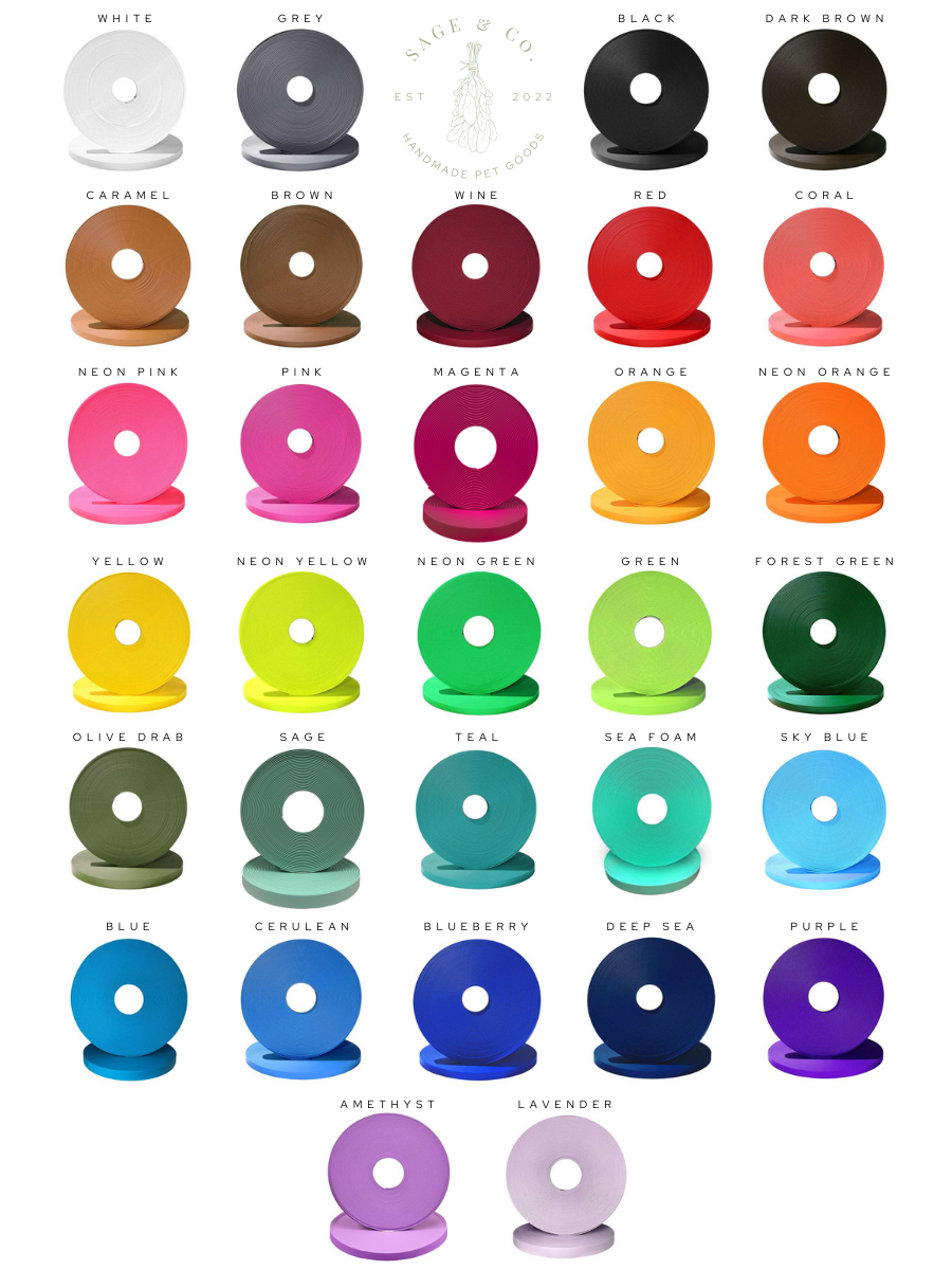 Custom Infinity Leash