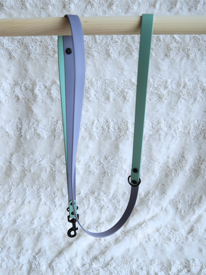 Custom Basic Leash