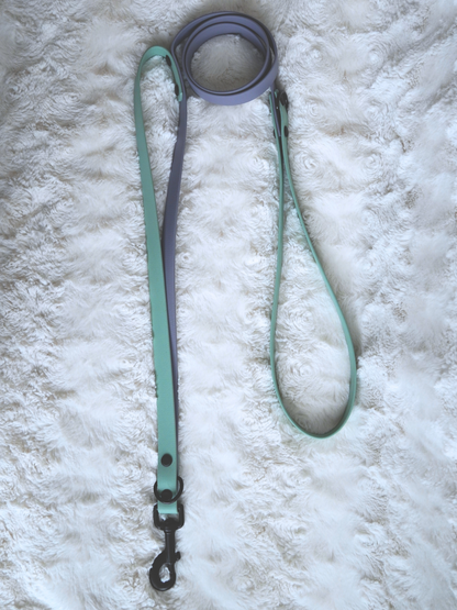 Custom Basic Leash