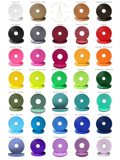 Custom Two-Toned Quick-Release Collar