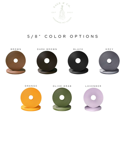 XS Safety Backup Clip