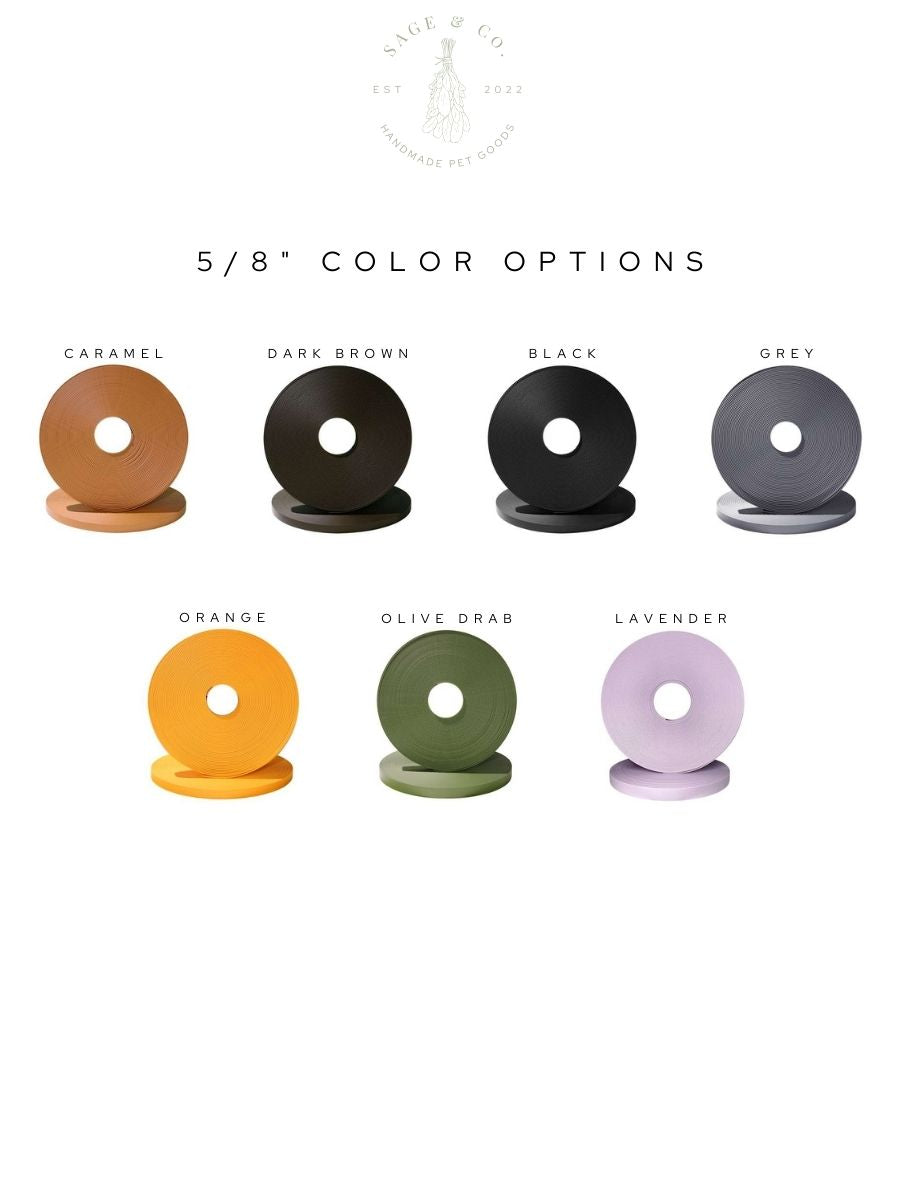 XS Safety Backup Clip