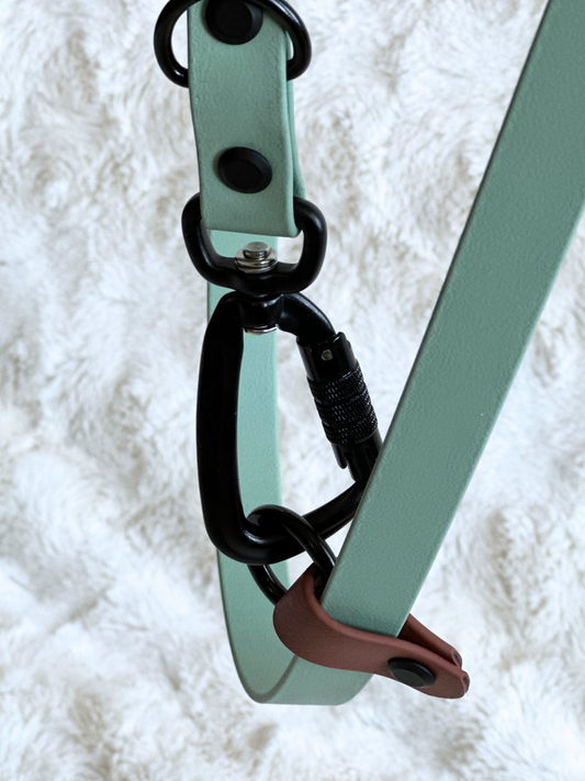 Autolocking Carabiner