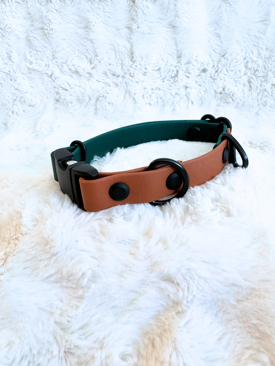 Custom Two-Toned Quick-Release Collar