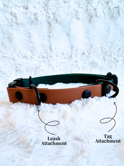 Custom Two-Toned Quick-Release Collar