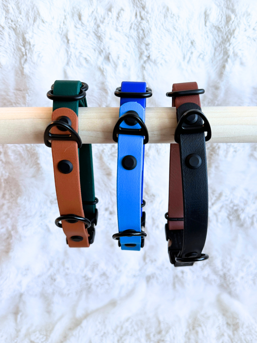 Custom Two-Toned Quick-Release Collar